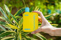 Tanning Oil